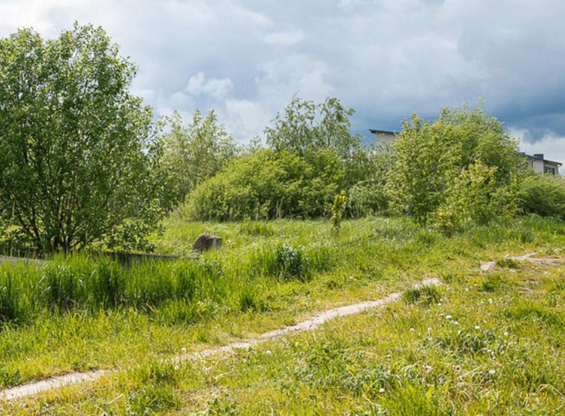 Radviliškio rajono savivaldybės administracija tikrina apleistus sklypus