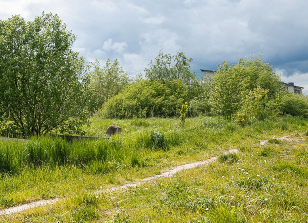 Straipsnio nuotrauka