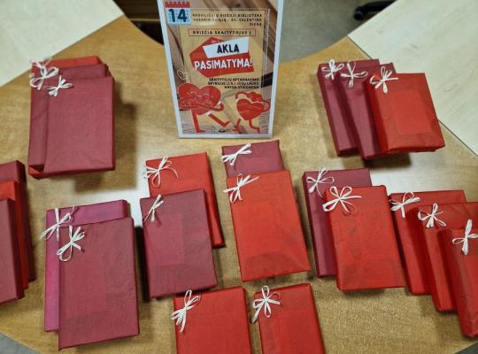 Aklas pasimatymas su knyga