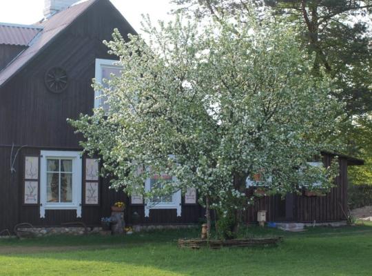 Skelbiamas Etnokultūrinės kaimo turizmo sodybos konkursas 2026