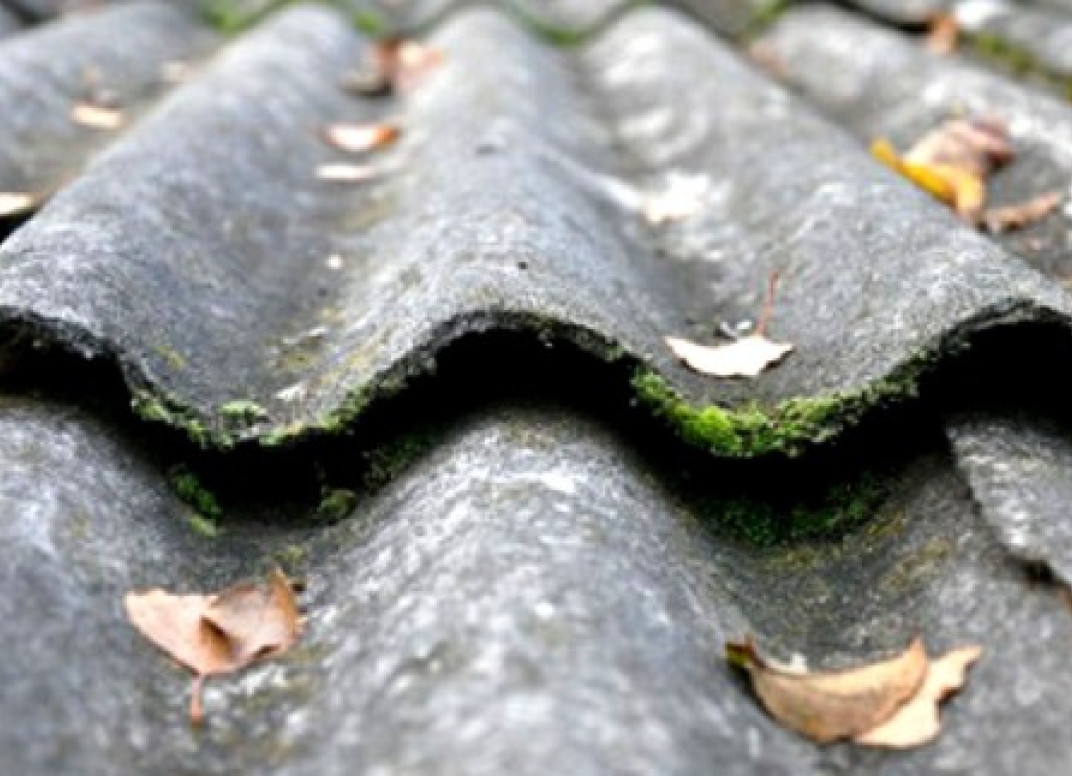 Asociatyvi nuotrauka