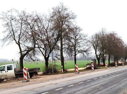 Sparčiai juda dviračių tako atnaujinimas Radviliškyje