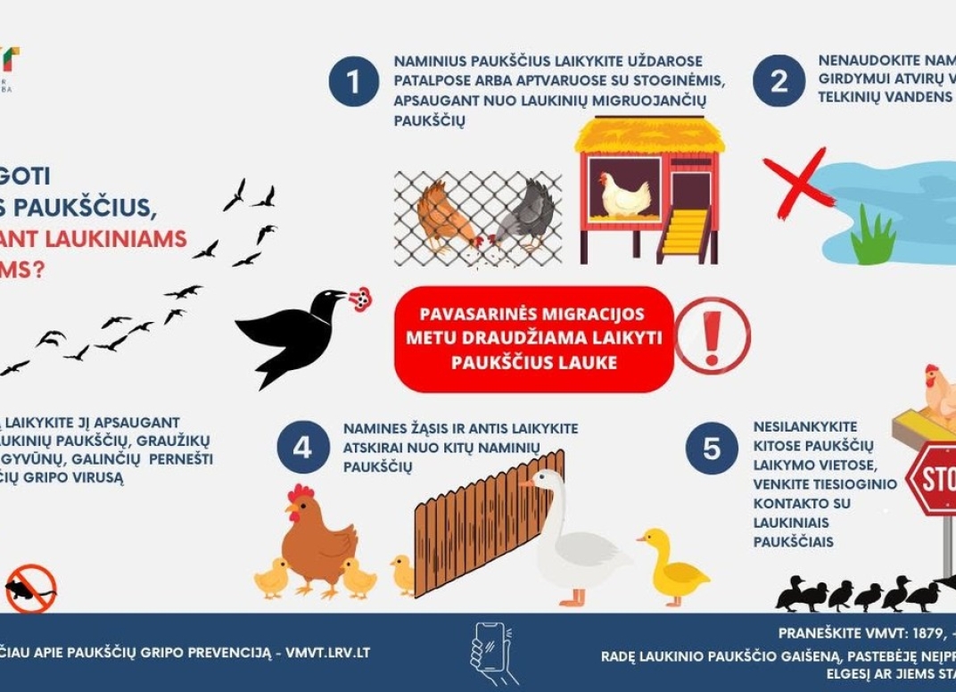 Plakatas