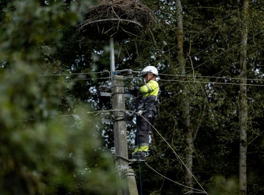 ESO mokės klientams kompensacijas, jeigu elektros dėl audros neturėjo ilgiau nei 72 val. 