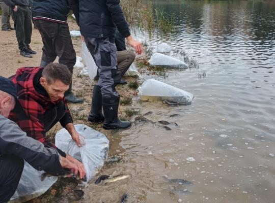Tęsiama Pociūnėlių tvenkinio įžuvinimo tradicija