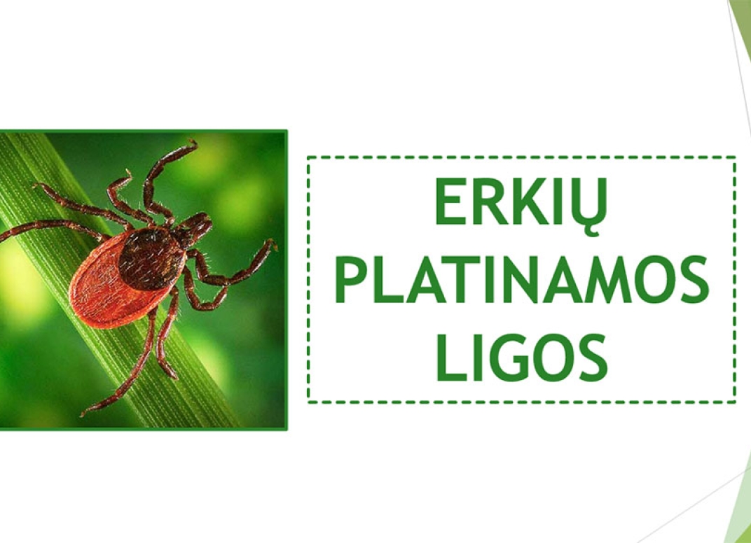 Straipsnio nuotrauka