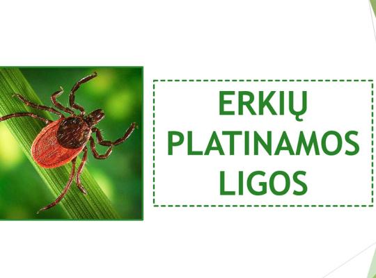 Erkių platinamos ligos
