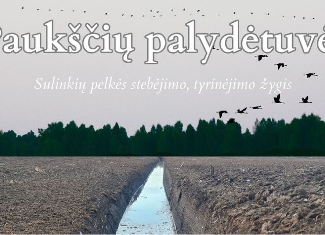 Straipsnio nuotrauka