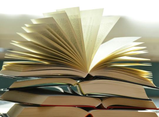 Patvirtintos pedagogų kvalifikacijos tobulinimo prioritetinės sritys 2026–2028 metams