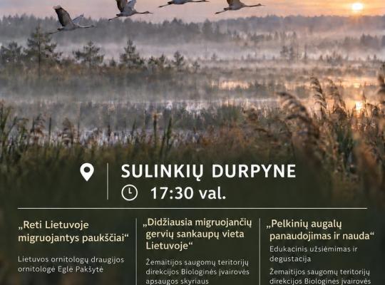 Paukščių palydėtuvės