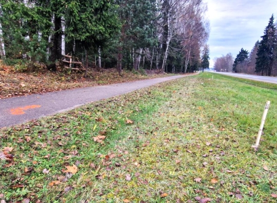 Straipsnio nuotrauka