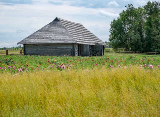 Straipsnio nuotrauka