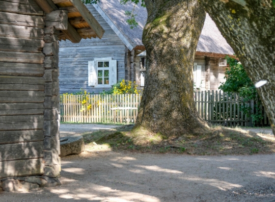 Straipsnio nuotrauka