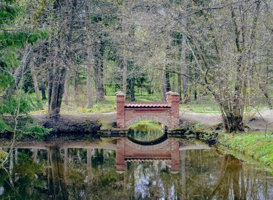 Straipsnio nuotrauka