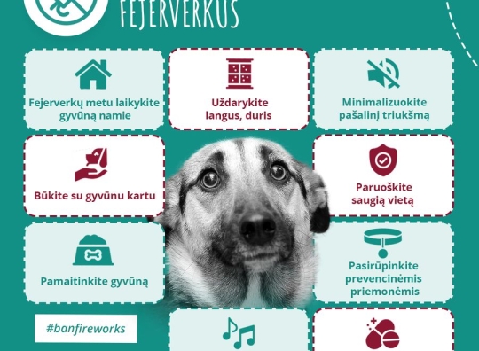 Plakatas
