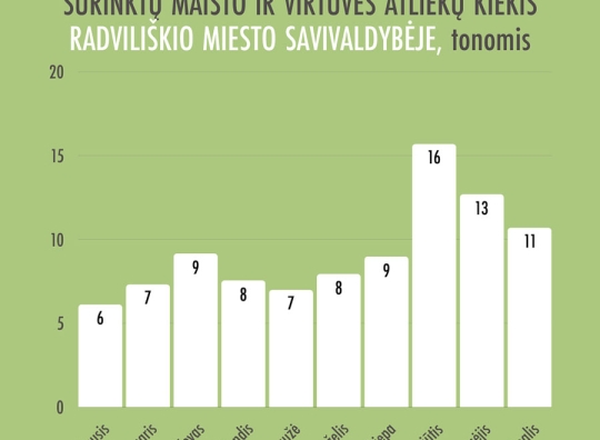 Straipsnio nuotrauka