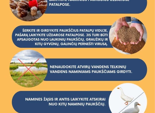 Plakatas