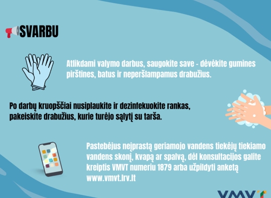 Straipsnio nuotrauka
