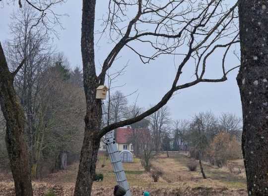 Straipsnio nuotrauka