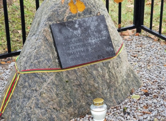 Straipsnio nuotrauka