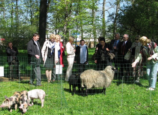 Seimo Švietimo, mokslo ir kultūros komiteto nariai turėjo galimybę apžiūrėti naujas gyvulių veisles
