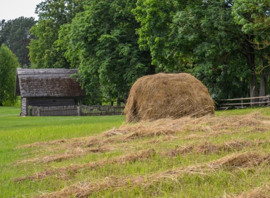 Muziejaus nuotrauka