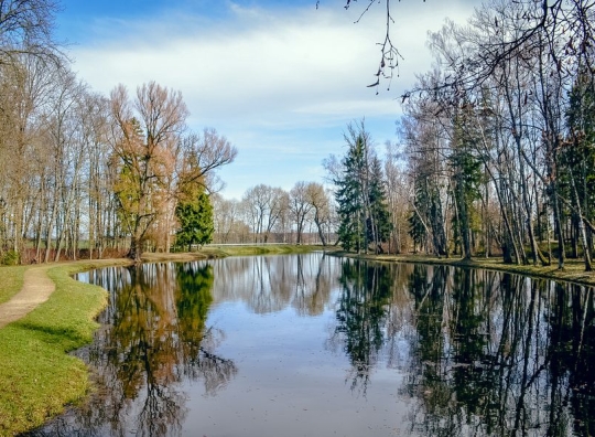 Straipsnio nuotrauka