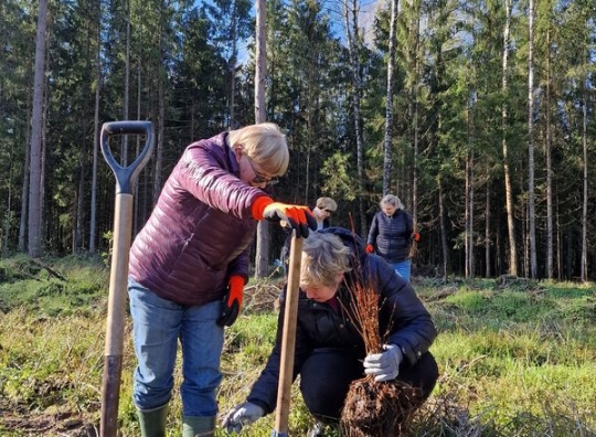 Straipsnio nuotrauka