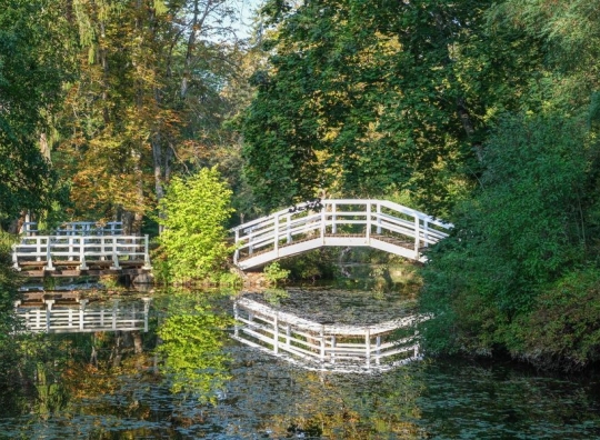 Straipsnio nuotrauka