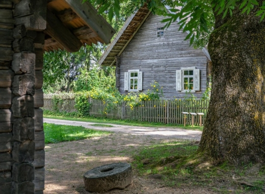 Straipsnio nuotrauka