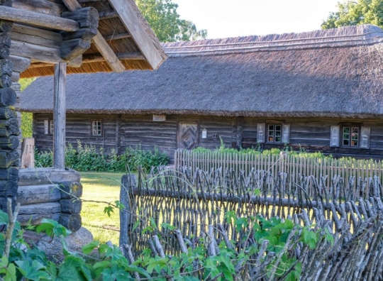 Straipsnio nuotrauka
