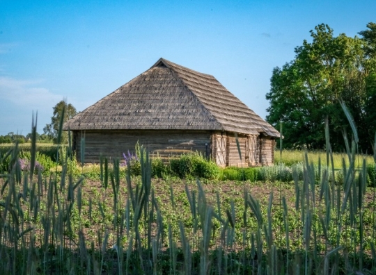 Straipsnio nuotrauka
