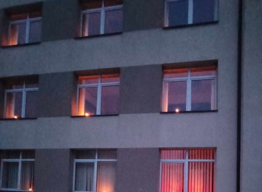 Straipsnio nuotrauka