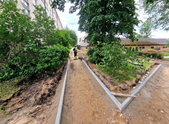 Straipsnio nuotrauka