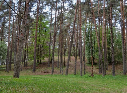 Straipsnio nuotrauka