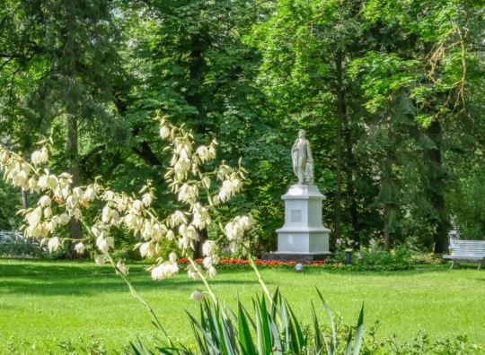 Straipsnio nuotrauka
