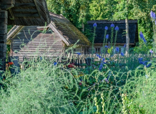 Straipsnio nuotrauka