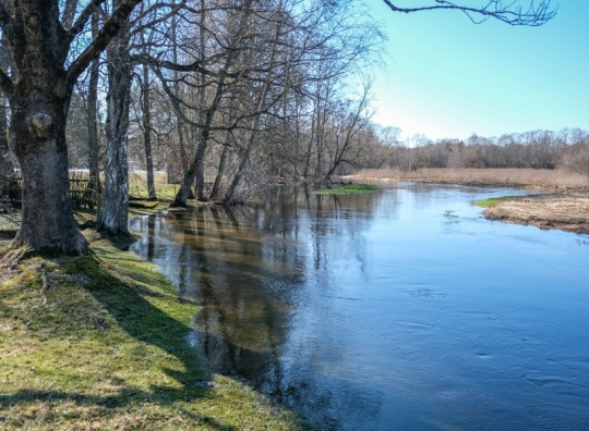Straipsnio nuotrauka