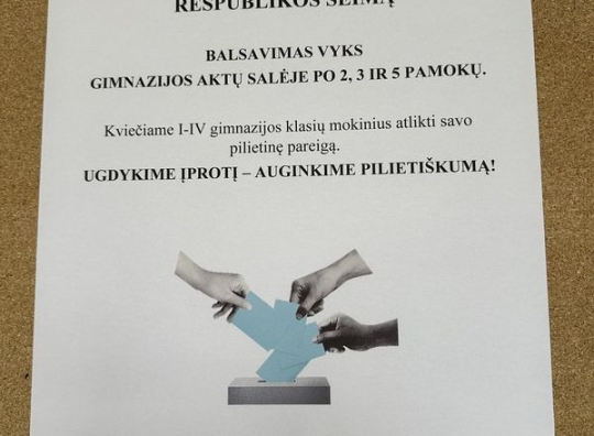 Straipsnio nuotrauka