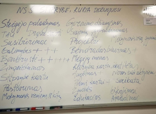 Straipsnio nuotrauka